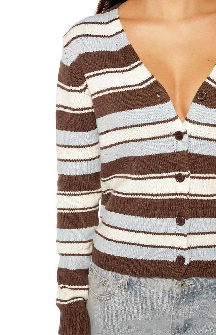 Misha Brown and Blue Stripe Button Down Cardigan