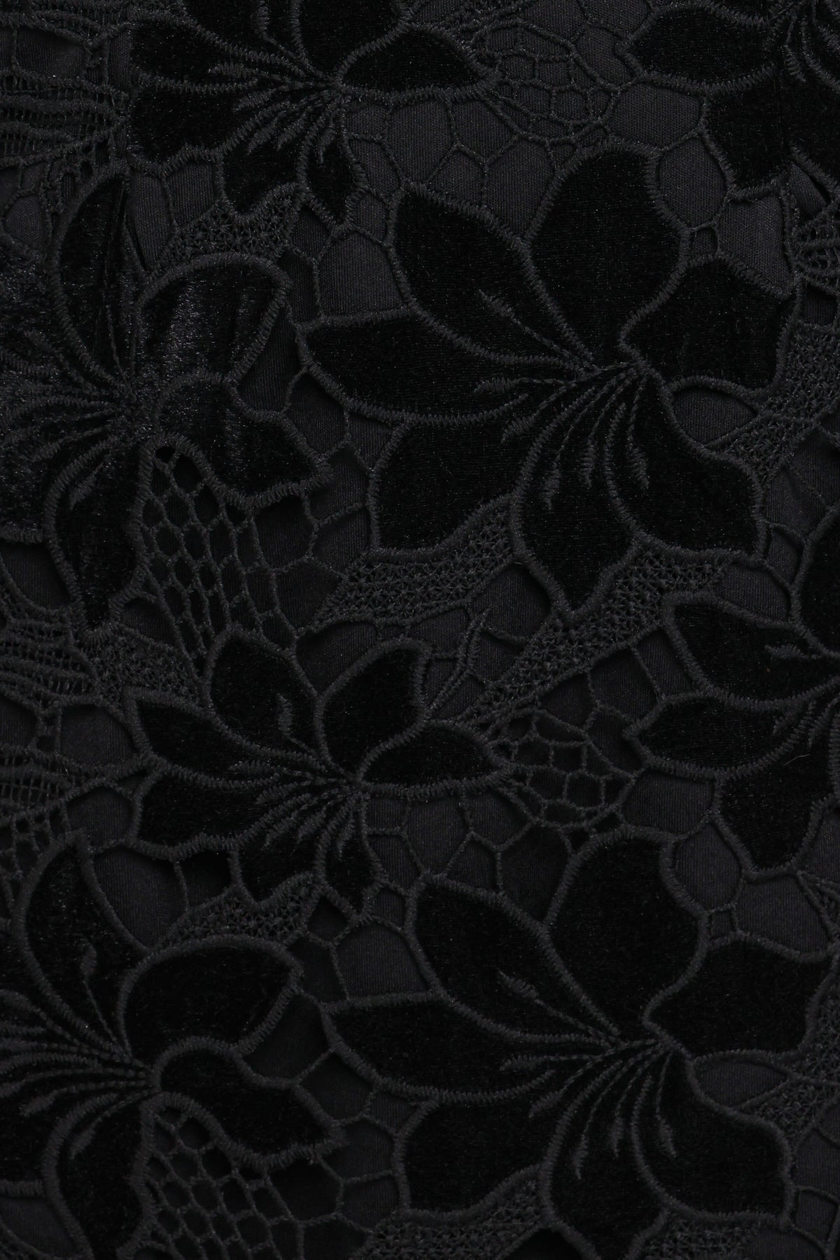 Cynthia Velvet Lace Mini Dress - Black
